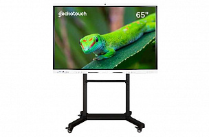 Интерактивный программно-аппаратный комплекс Geckotouch Interactive 65RK